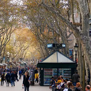 تحقق من التوفر